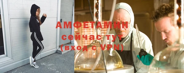 ГАЛЛЮЦИНОГЕННЫЕ ГРИБЫ Абаза