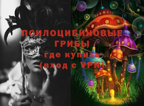 ГАЛЛЮЦИНОГЕННЫЕ ГРИБЫ Абаза