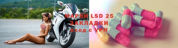 ГАЛЛЮЦИНОГЕННЫЕ ГРИБЫ Абаза