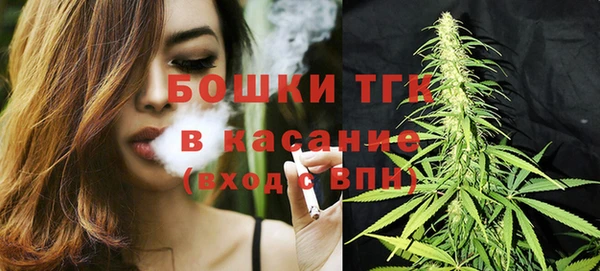 ГАЛЛЮЦИНОГЕННЫЕ ГРИБЫ Абаза