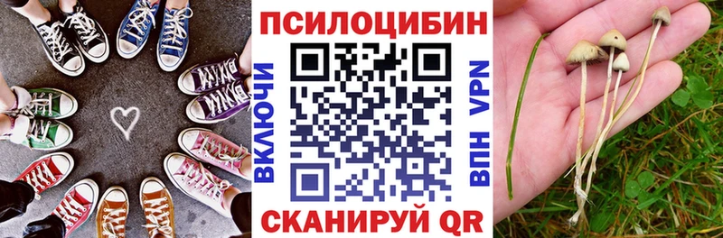 blacksprut Клинцы Галлюциногенные грибы Psilocybe
