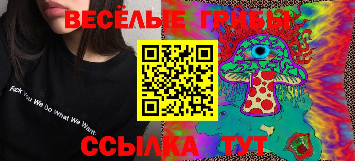 Галлюциногенные грибы MAGIC MUSHROOMS  Псилоцибиновые грибы Magic Shrooms  где купить наркоту  Клинцы  Вход с VPN 