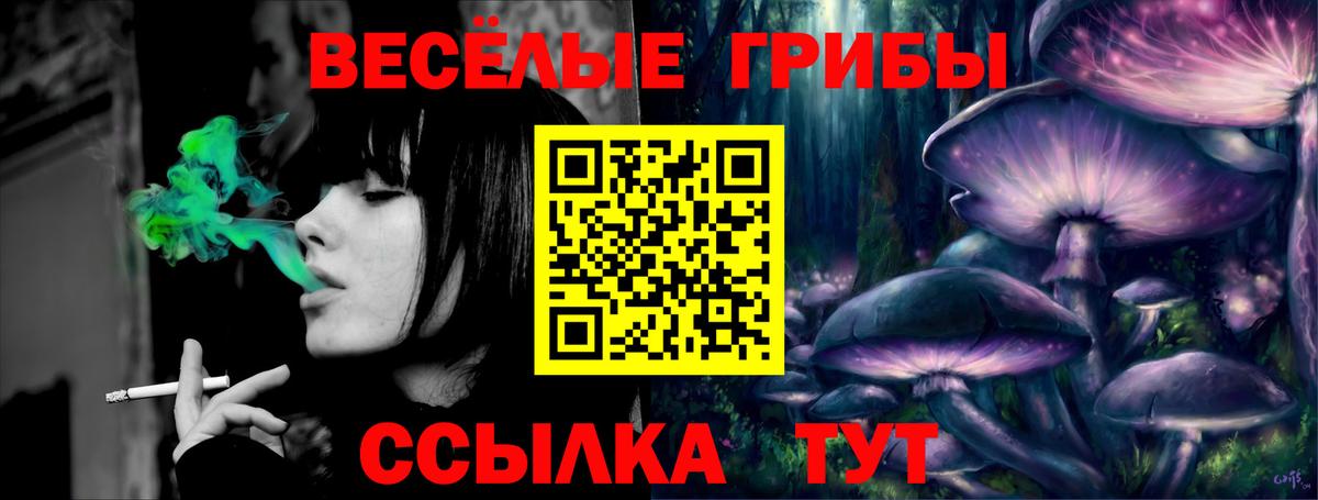 Псилоцибиновые грибы мицелий Клинцы