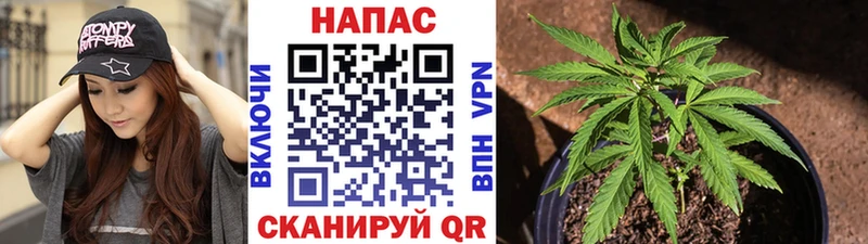Шишки марихуана LSD WEED  Клинцы 