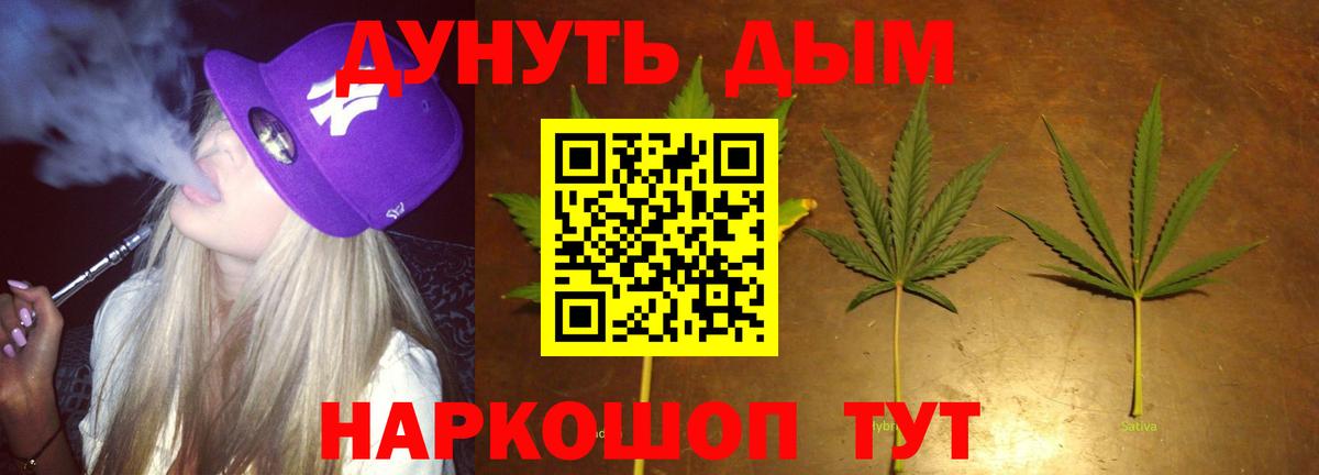 Каннабис индика  Канабис планчик  Конопля гибрид  Конопля гибрид  Клинцы  Вход с VPN 